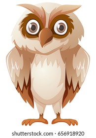 Owl with brown feather illustration