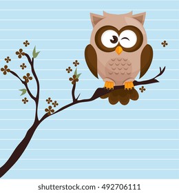 owl brown tree leaves brown