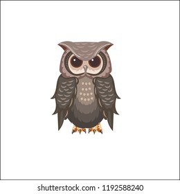 Owl Or Buho Theme Collection