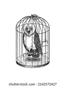 Owl In A Cage. Predatory Forest Wild Bird. Vintage Engraving Sketch. Doodle Outline. Hand Drawing.