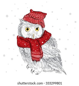 Owl in a cap and scarf were drawn by hand. Vector illustration for greeting card, poster, or print on clothes.