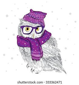 Owl in a cap and scarf were drawn by hand.  Bird clothing. Glasses.