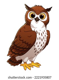 Owl Cartoon Animal Illustration Color