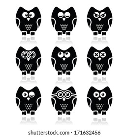 Owl cartoon character vector icons set 