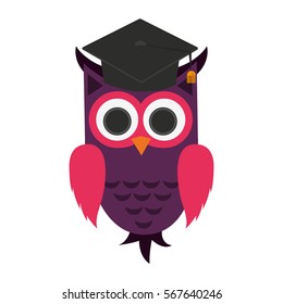 owl cartoon icon