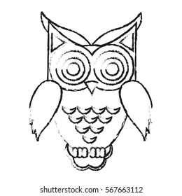 owl cartoon icon