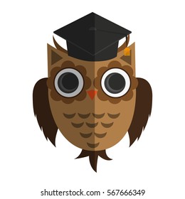 owl cartoon icon