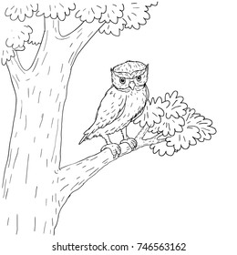 Owl cartoon vector hand drawn