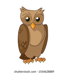 Owl cartoon vector illustration isolated on white background