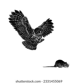 owl catches rat hand drawing vector isolated on white background.