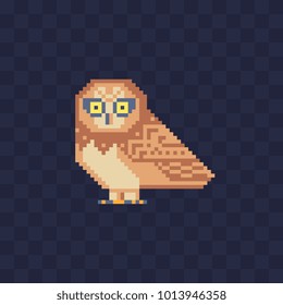 Owl character. Cartoon icon for children's mobile applications, book illustration. Game assets. Pixel art 80s style. Isolated vector flat illustration. 