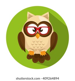 Owl character design 