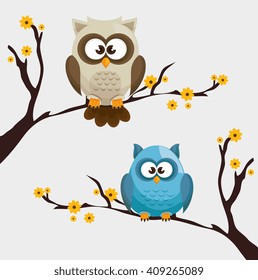 Owl character design Owl character design
