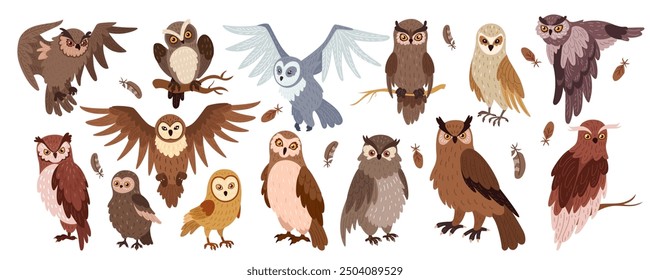 Owl character. Flying hunter in the night. Forest brown and snowy animal in various pose. Cute wild predator bird face. Eye, feather, beak hawk. Wildlife predator. Portrait zoo vector tidy ornithology