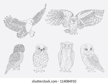 owl collection,