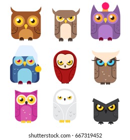 Owl collection
