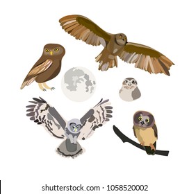 owl collection. vector illustration. hand drawn sketch of birds. wildlife set of drawings. 