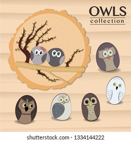 Owl Collection Vectors