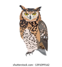 Owl Color drawing vector Illustration