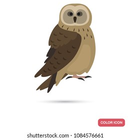 Owl color flat icon for web and mobile design