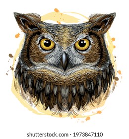 Owl. Color, graphic, hand-drawn portrait of a owl looking ahead on a white background with blots.