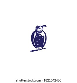 Owl color logo vector illustration. Clipart design vector
