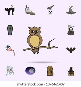 owl colored icon. Halloween icons universal set for web and mobile
