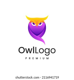 Owl colorful Design concept Illustration logo vector.
