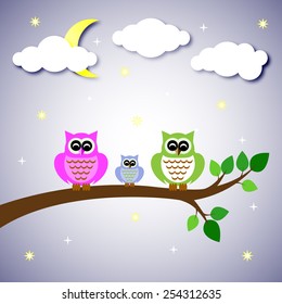 owl colorful set on tree branch