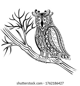 Owl coloring book for adults vector image