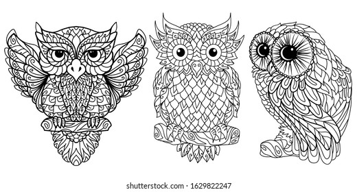 Owl. Coloring. A graphic black-and-white image of a set of three different owls on a white background.