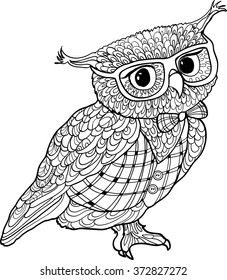  Owl Coloring Page