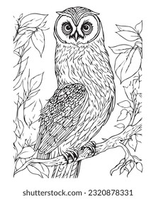 Owl coloring page. Cute Owl page for kids and adults. mid content coloring page for amazon KDP. Coloring outline of Owl. Wild life coloring interior design