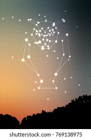 Owl constellation vector art. Owl in constellations and star on night sky and forest landscape. Starry owl in deep dark sky with line and shiny dots