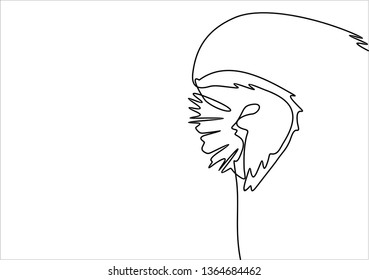 Owl. Continuous line