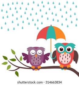 casal de coruja e chuva