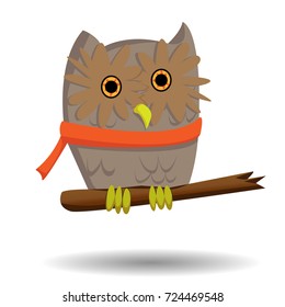 Owl cute branch