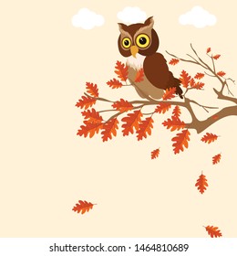 owl cute in vector, Cute vector owl characters showing different species