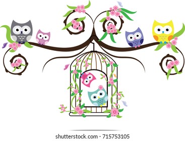 owl cute in vector and on bird cage