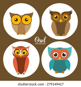 Owl design over brown background, vector illustration