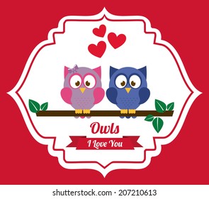 owl design over pink background vector illustration
