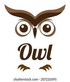 owl design over white background vector illustration