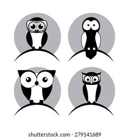 Owl design over white background, vector illustration
