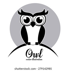 Owl design over white background, vector illustration