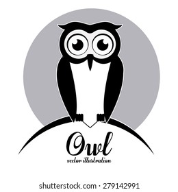 Owl design over white background, vector illustration