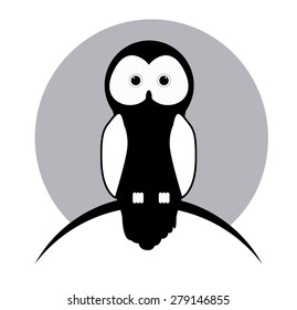 Owl design over white background, vector illustration