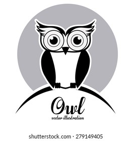 Owl design over white background, vector illustration