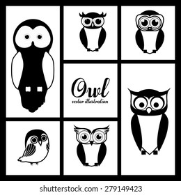 Owl design over white background, vector illustration
