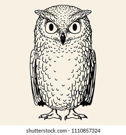 Owl dird hand drawn skrtch vector illuatration.