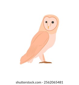 Owl, Diwali, Hindu, Indian Symbol Illustration